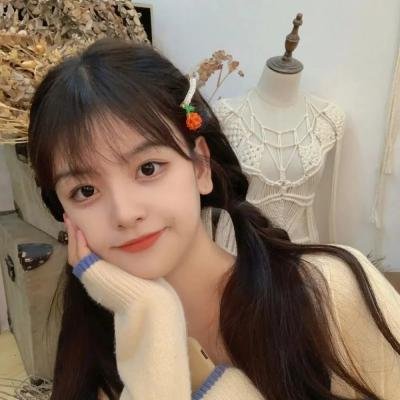 少女骑士物语