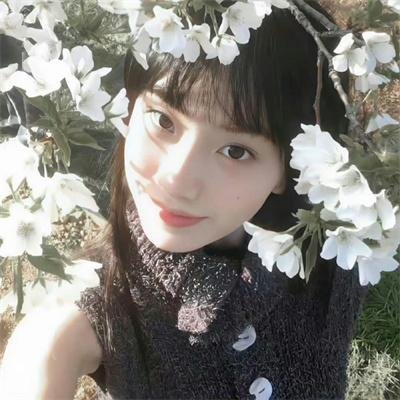 迎风而立的狮子